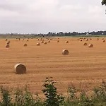 Orzechowy Dworek * Nowy Dwór Gdański