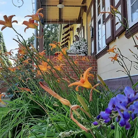 Orzechowy Dworek * Nowy Dwór Gdański