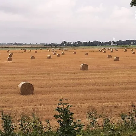 Orzechowy Dworek * Nowy Dwór Gdański