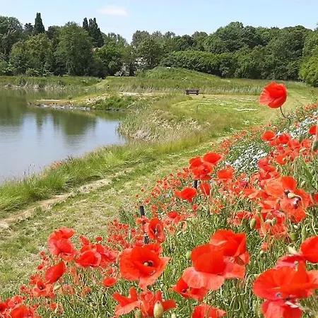 Orzechowy Dworek * Nowy Dwór Gdański