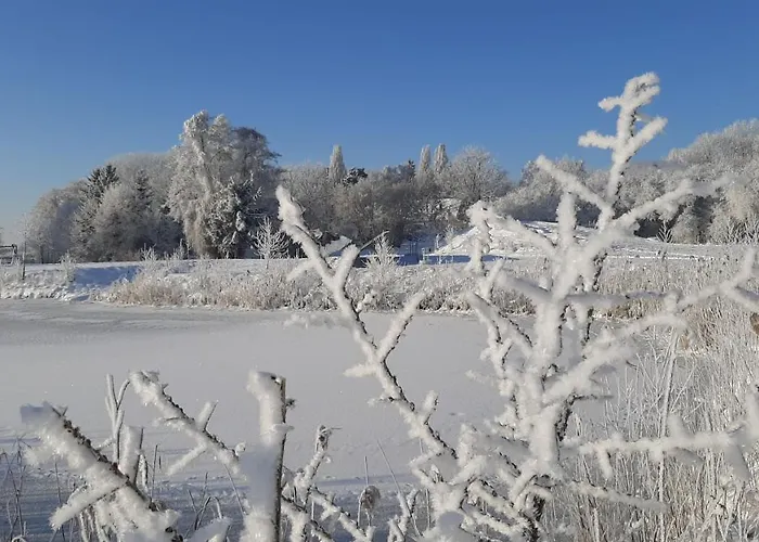 Apartmán Orzechowy Dworek *