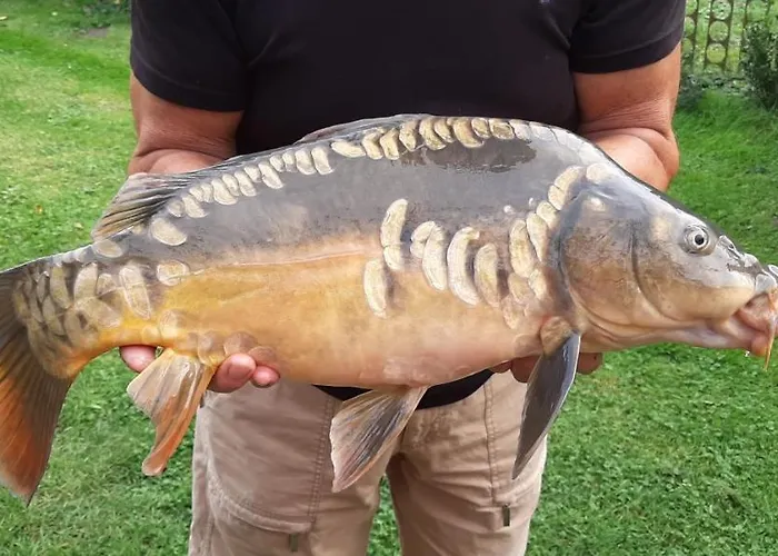 Orzechowy Dworek Apartmán