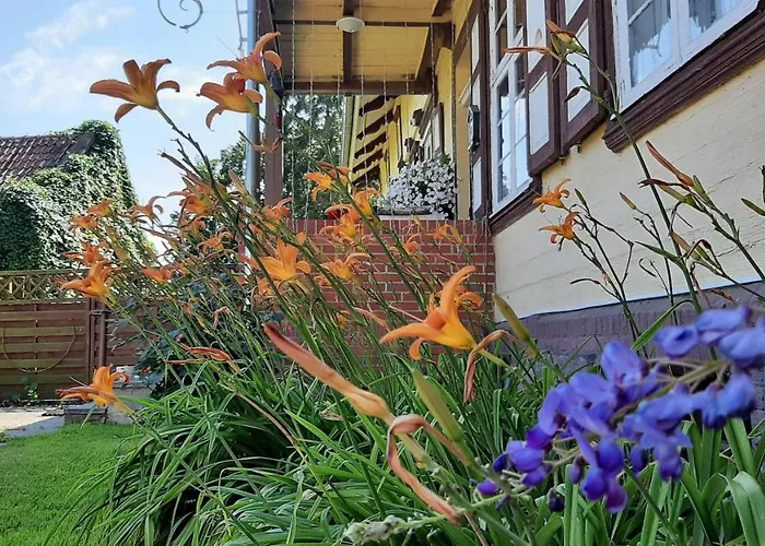 Orzechowy Dworek * Nowy Dwór Gdański