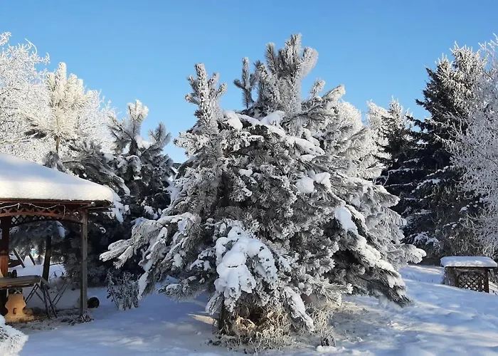Orzechowy Dworek Nowy Dwór Gdański