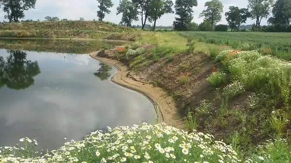 Apartmán Orzechowy Dworek Nowy Dwór Gdański