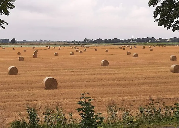 Orzechowy Dworek * Nowy Dwór Gdański