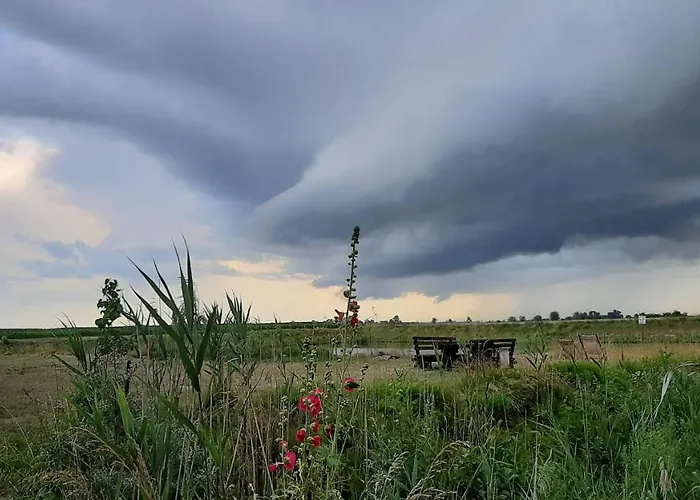 Orzechowy Dworek Apartman *