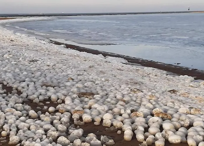 Apartmán Orzechowy Dworek Nowy Dwór Gdański