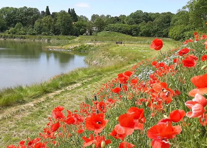 Orzechowy Dworek * Nowy Dwór Gdański