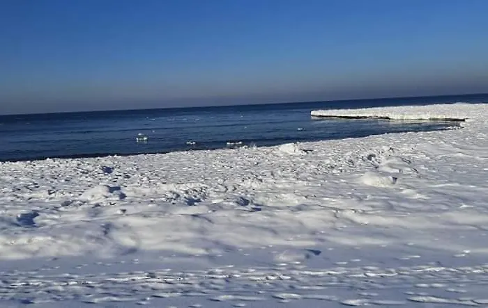 Orzechowy Dworek Nowy Dwór Gdański